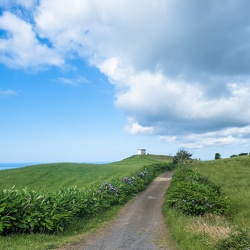 Paysages d'en bas