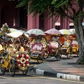 Tricycles à touristes