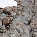 Bivouac au Grand Galibier