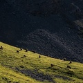 Bivouac à la Tête de Girardin