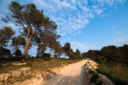 Dans la colline d'à côté