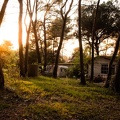 Ma cabane au fond des bois