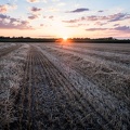 Après la moisson