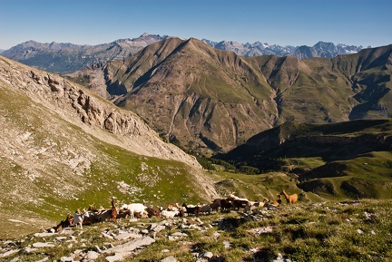 Le Piolit en traversée par l'Aiguillette