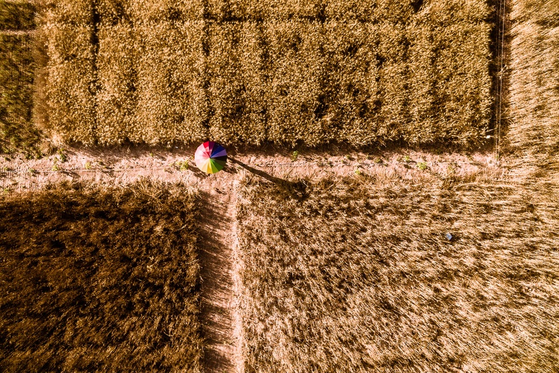 dji_0284.jpg