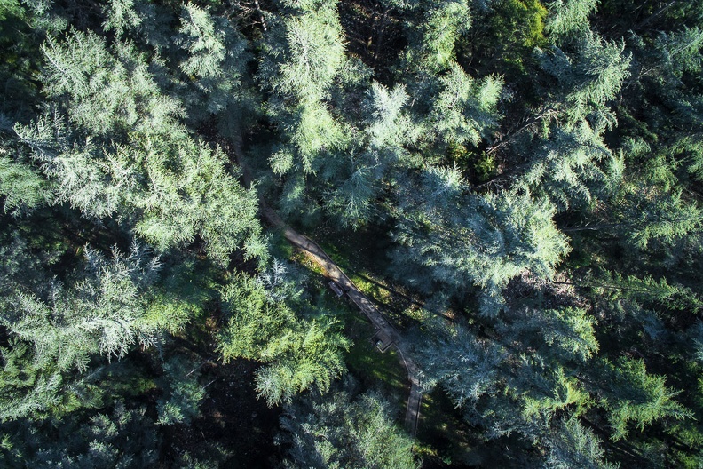 dji_0523.jpg