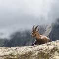 Argentera par le refuge Remondino, depuis le Boreon