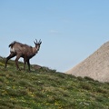 Bivouac au Mont Pelat