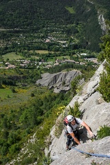 La jungle en folie