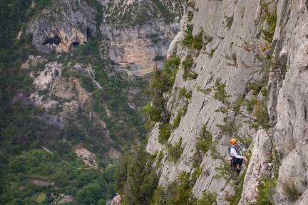 La jungle en folie