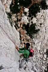 Les traces du passé