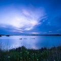 Les Salins du Lion