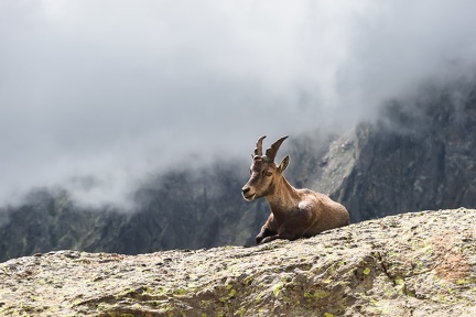 Argentera par le refuge Remondino, depuis le Boreon