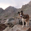 Argentera par le refuge Remondino, depuis le Boreon