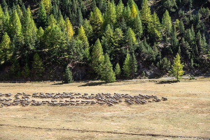 Bivouac aux Lacs Marion