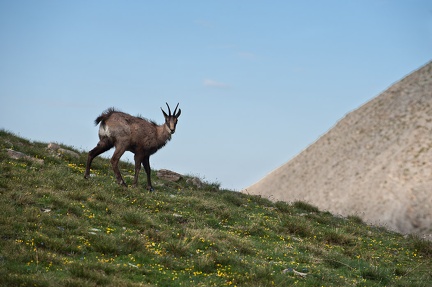 Bivouac au Mont Pelat