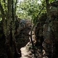 Dans le bois de Païolive