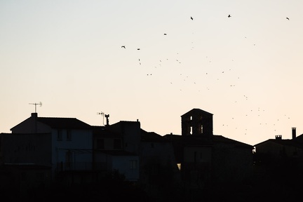 Les mouettes