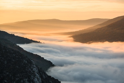 Brume matinale