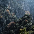 L'automne dans les Gorges