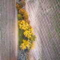 dji_0720.jpg