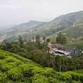 Boh Tea Estate