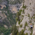 La jungle en folie