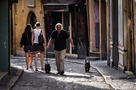 Promenade avec les deux chiens