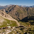 Le Piolit en traversée par l'Aiguillette