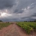 Orages autour de Sainte-Victoire