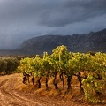 Orages autour de Sainte-Victoire