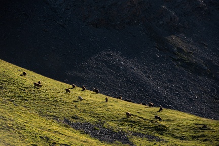 Bivouac à la Tête de Girardin