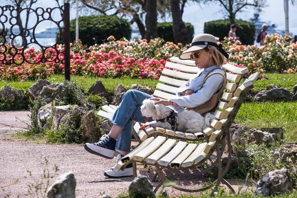 Cannes, autour du Festival