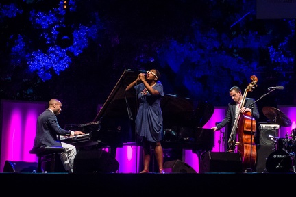 Cecile McLorin Salvant