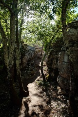 Dans le bois de Païolive