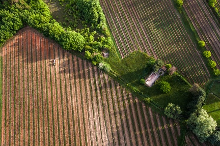 Montgolfière