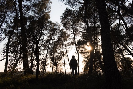 En forêt