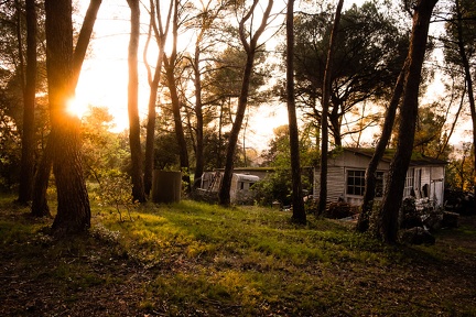 Ma cabane au fond des bois