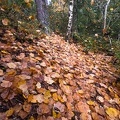 L'automne dans les Gorges