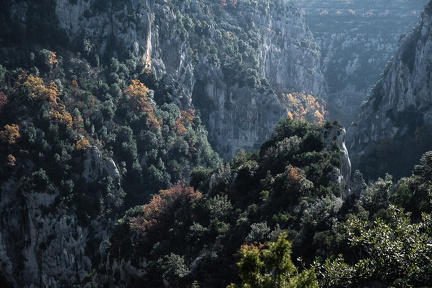 L'automne dans les Gorges