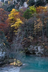 L'automne dans les Gorges