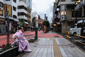 XT504288