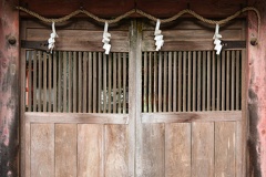 XT504439