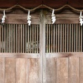 XT504439