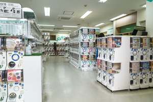 XT504546