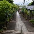 XT504723