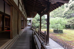XT504832