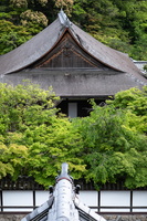 XT504878