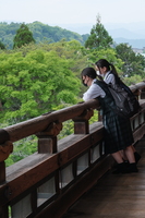 XT504886