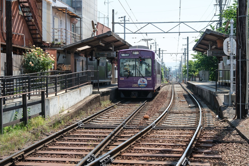 XT504988